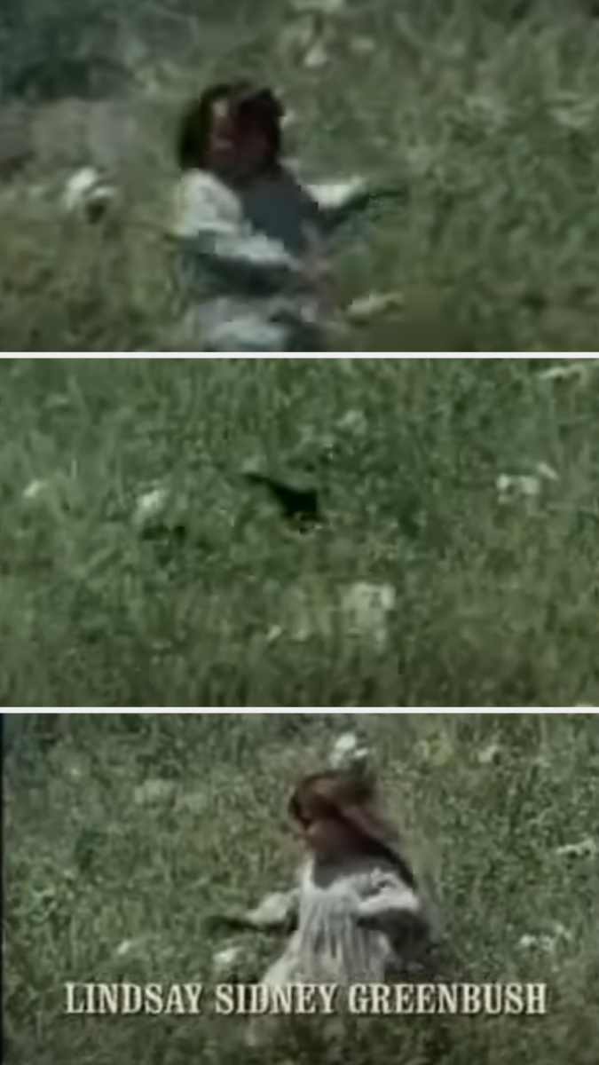A sequence of three images showing Lindsay Sidney Greenbush running and playing in a grassy field. The name "Lindsay Sidney Greenbush" is shown in the third image