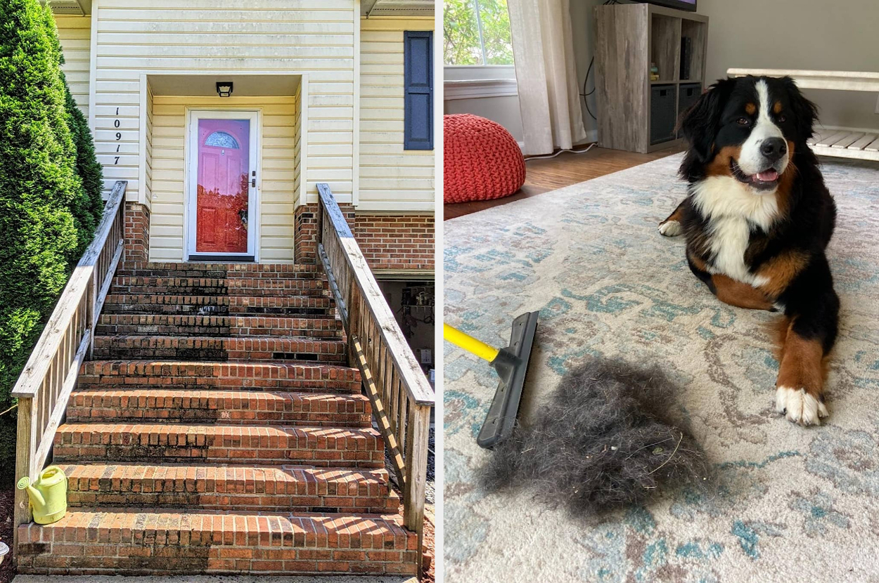 Left: Brick steps half pressure-washed with dirty steps on left to show comparison in cleaning. Right: A Bernese Mountain Dog next to a pile of fur and a grooming tool