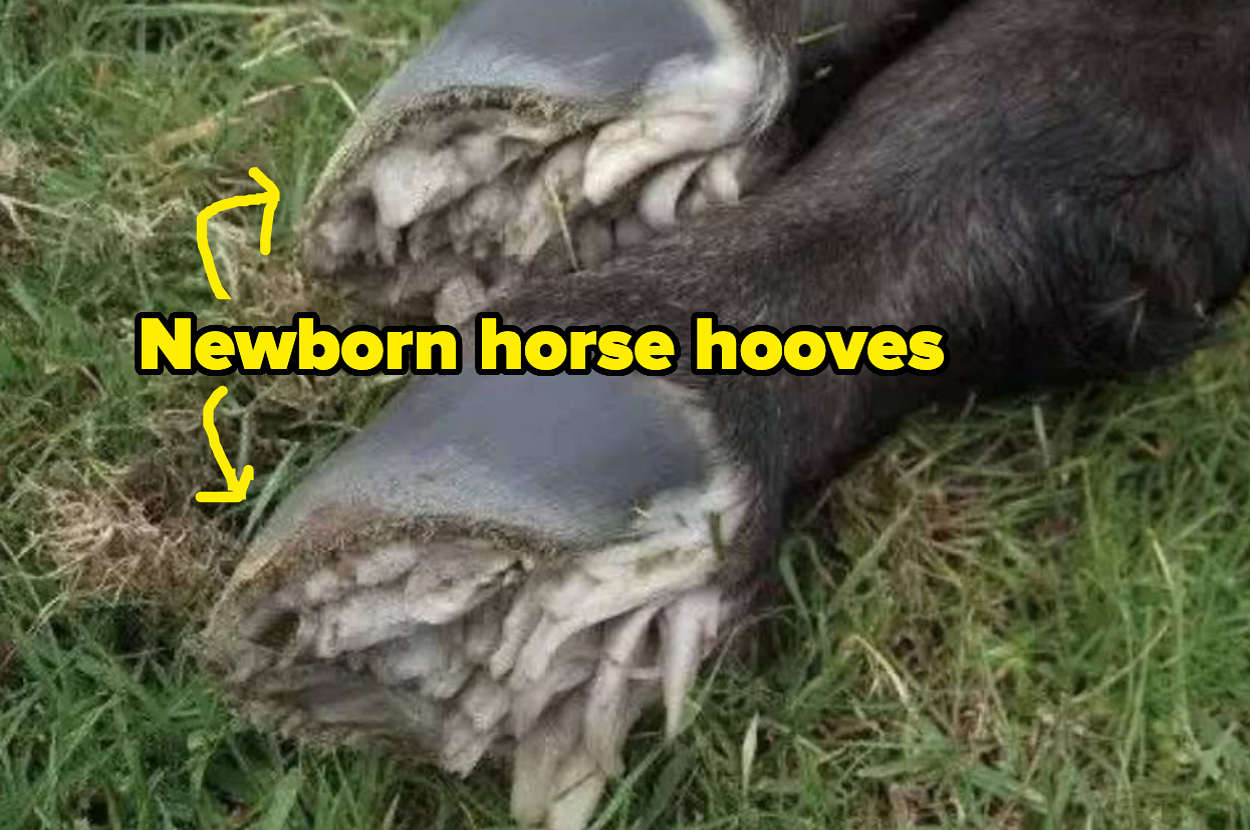 The Best Reddit Threads on the Internet