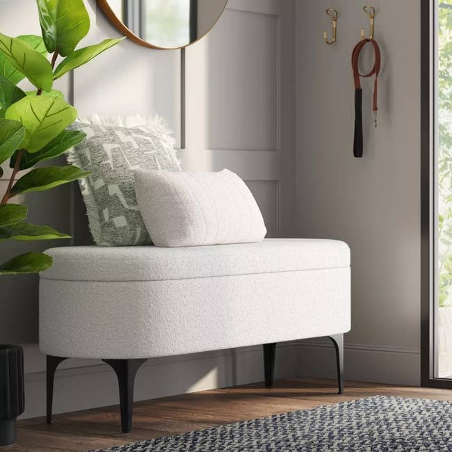 Entryway with a achromatic  bench, 2  pillows, a plant, a circular  mirror, and a hanging canine  leash