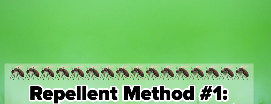 "Repellent Method #1: Store-Bought Bug Spray" text with mosquito graphics