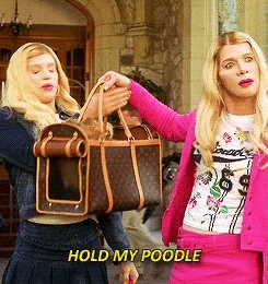 In a scene from "White Chicks," Marlon Wayans and Shawn Wayans are holding a designer pet carrier with the caption "HOLD MY POODLE."