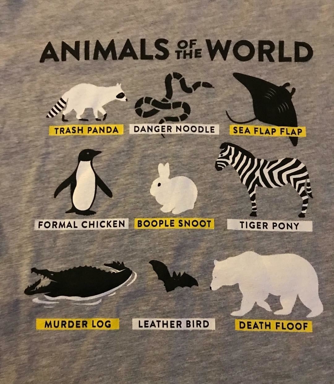 A shirt titled "Animals of the World" with humorous animal names: Trash Panda, Danger Noodle, Sea Flap Flap, Formal Chicken, Boople Snoot, Tiger Pony, Murder Log, Leather Bird, Death Floof