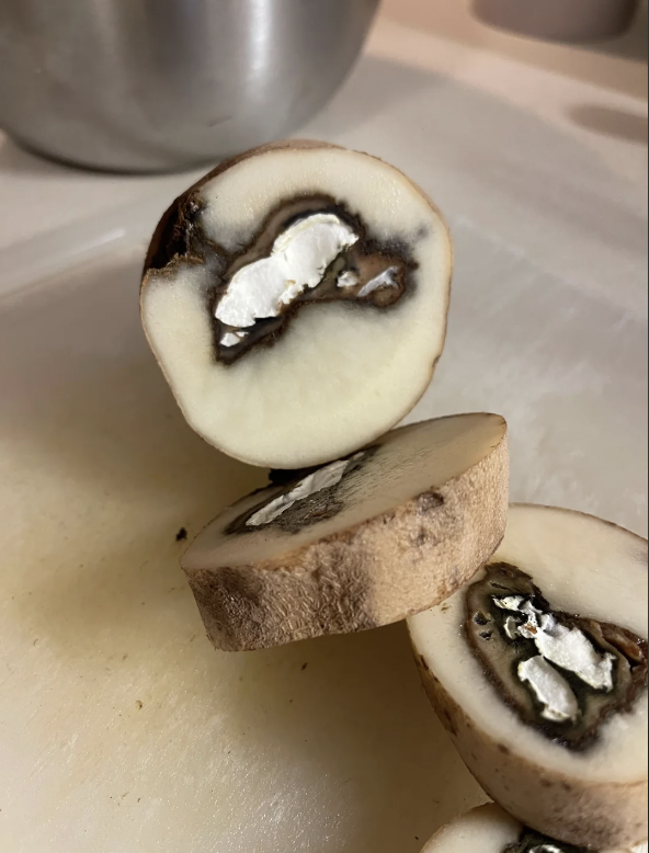 Slices of vegetables with a whitish interior and dark sections, possibly showing spoilage or an unusual interior structure