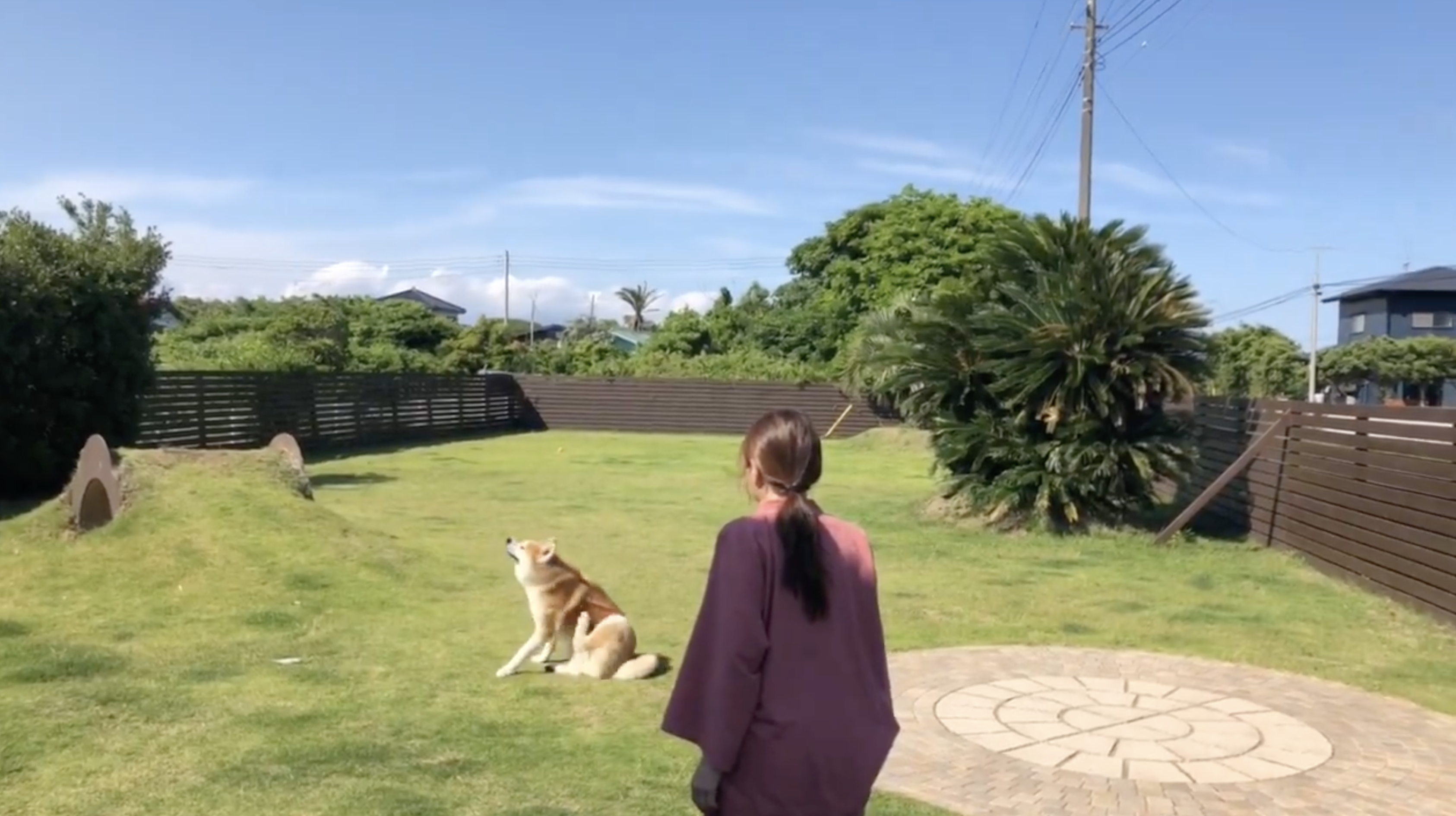 日俣綾子さん(@Ayako_Himata)の投稿より