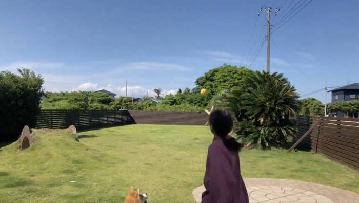 日俣綾子さん(@Ayako_Himata)の投稿より