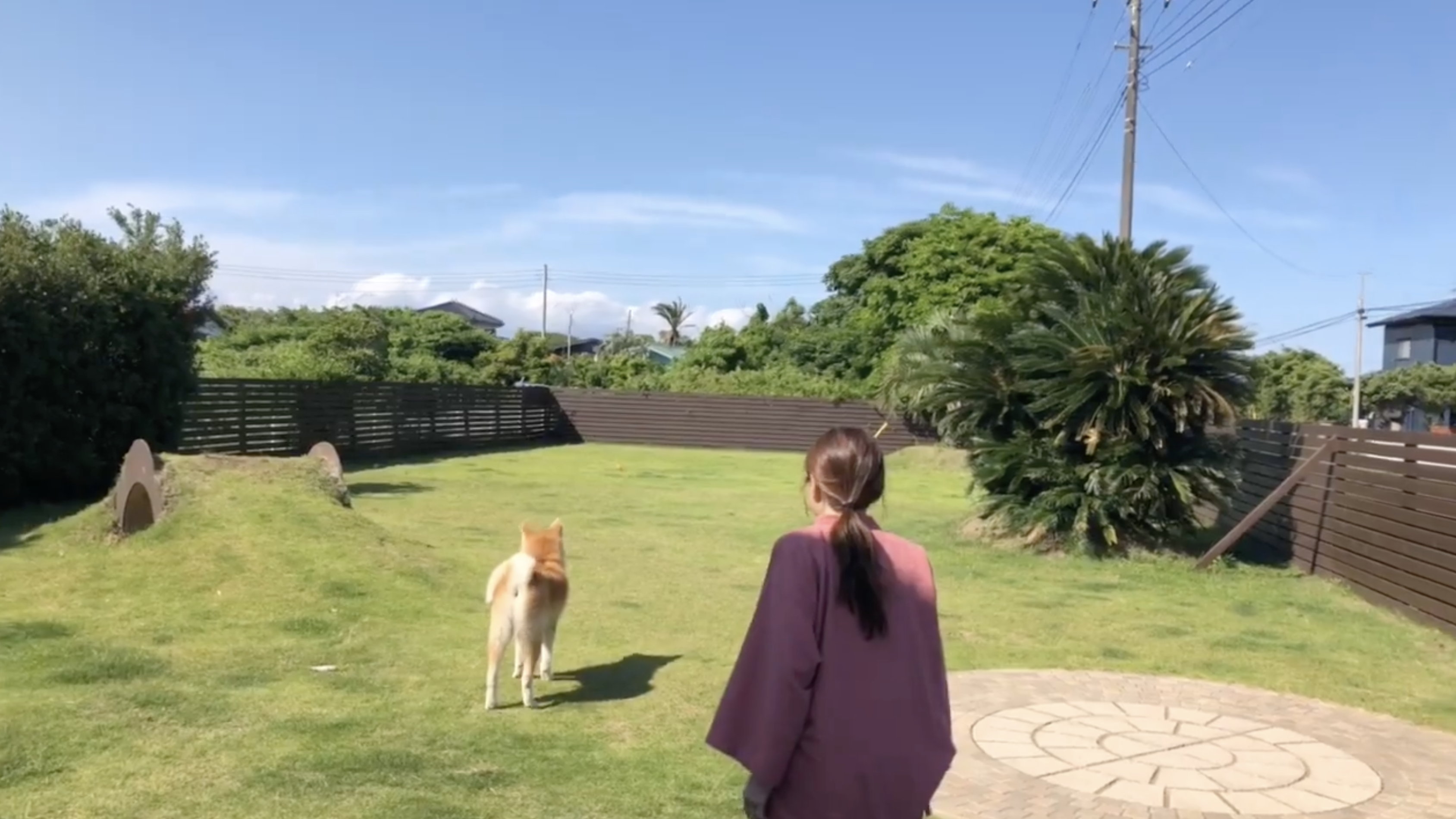 日俣綾子さん(@Ayako_Himata)の投稿より