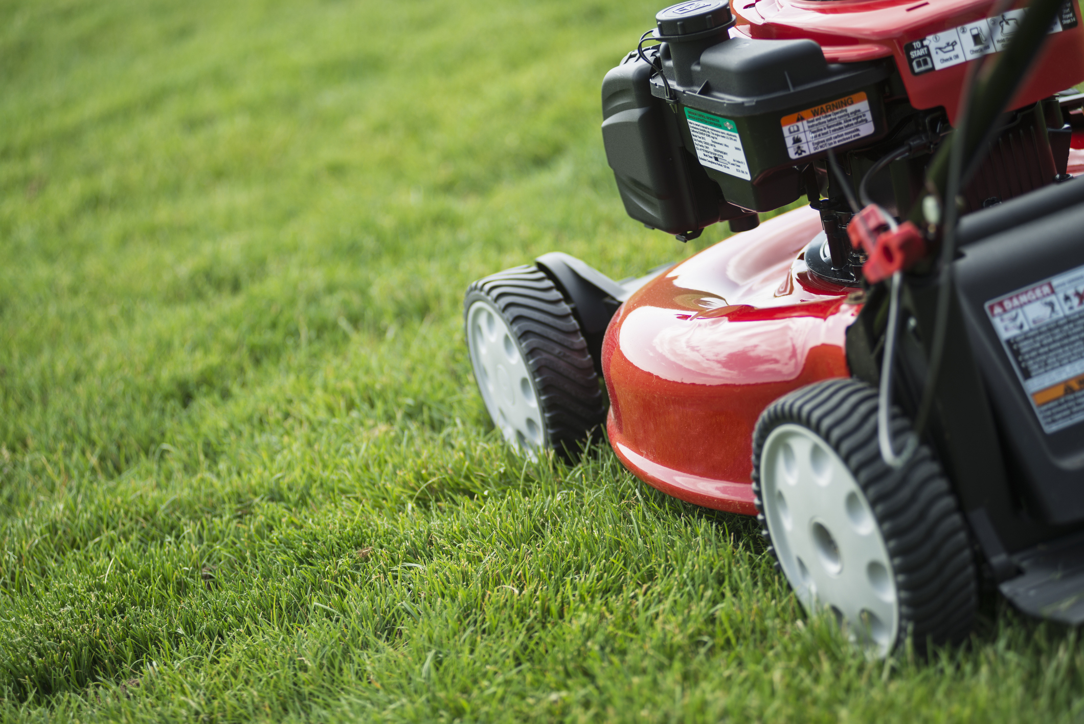 Close-up of a lawnmower cutting grass