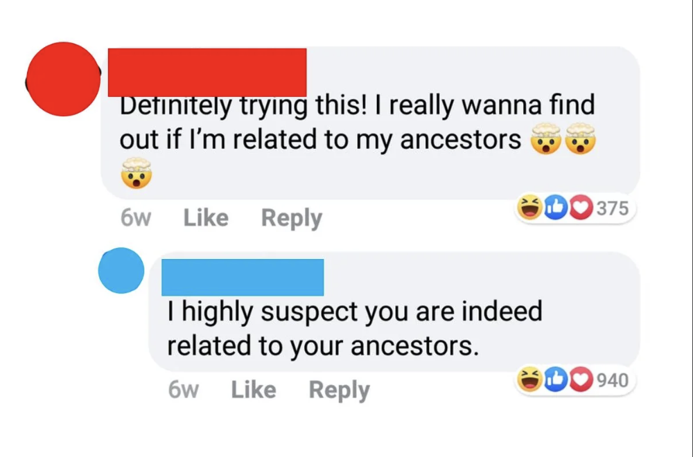 Social media comments: Red user says they will try something to see if they're related to their ancestors. Blue user sarcastically says they likely are related