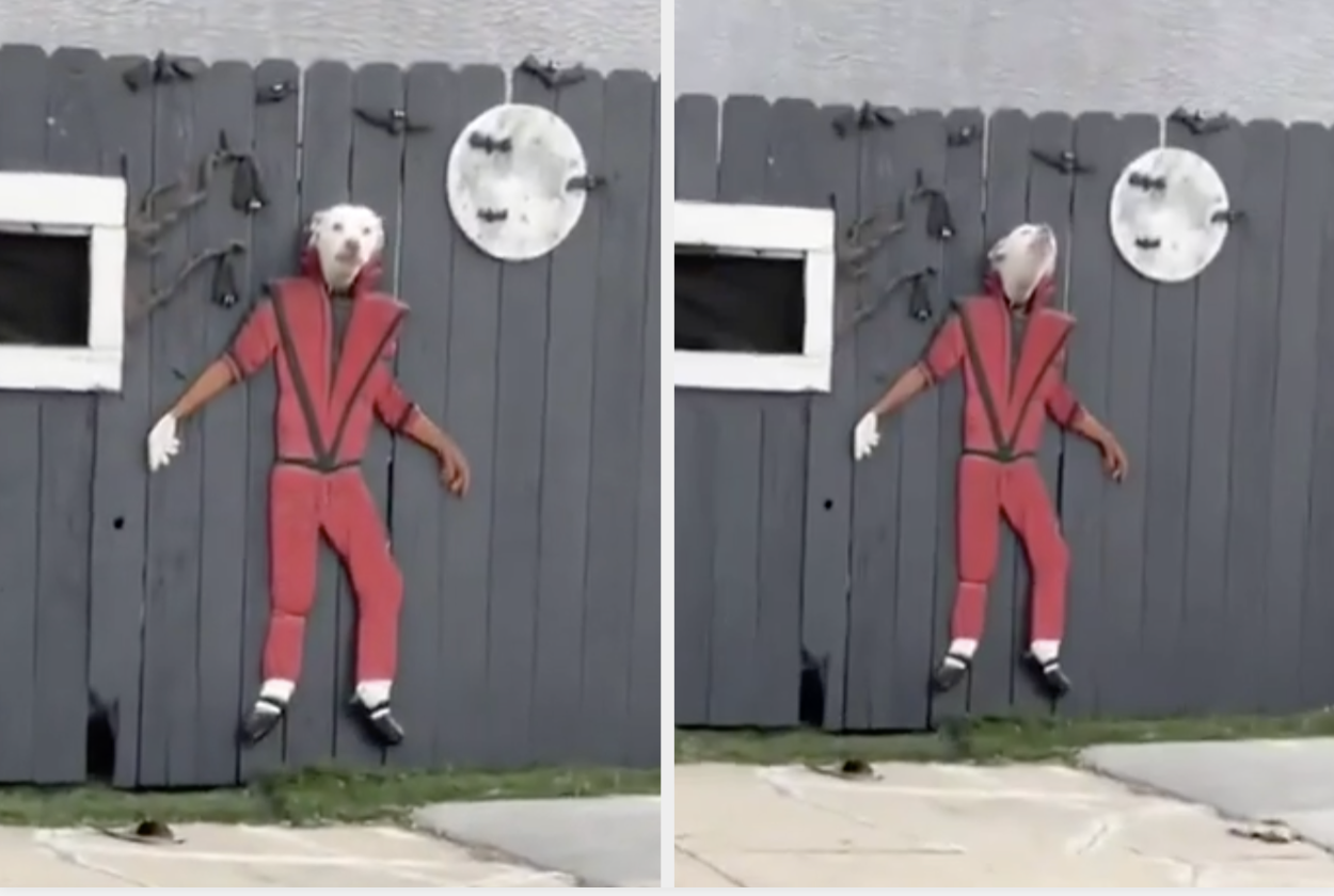 Goats are playfully positioned in a wooden fenced cutout wearing a Michael Jackson-inspired red jumpsuit, resembling the "Thriller" music video