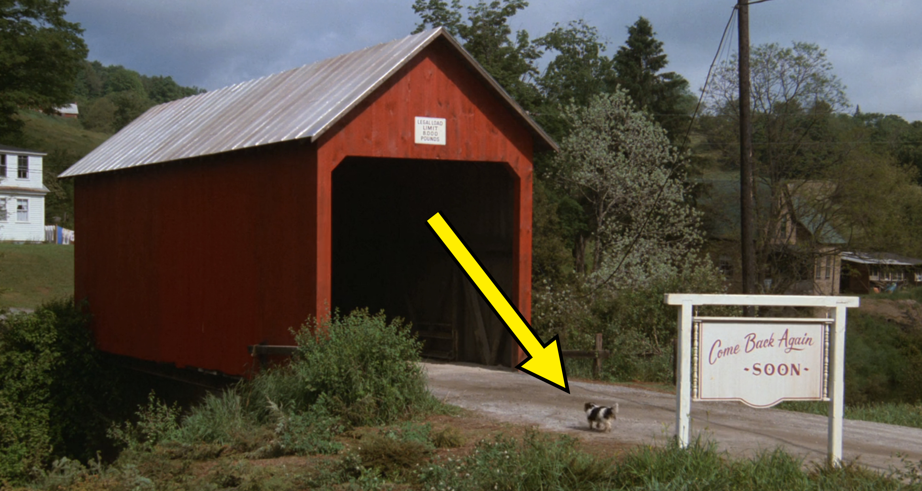 A red-covered bridge with a "Come Back Again Soon" sign at the entrance. A small skunk is walking on the bridge's path in "Beetlejuice"