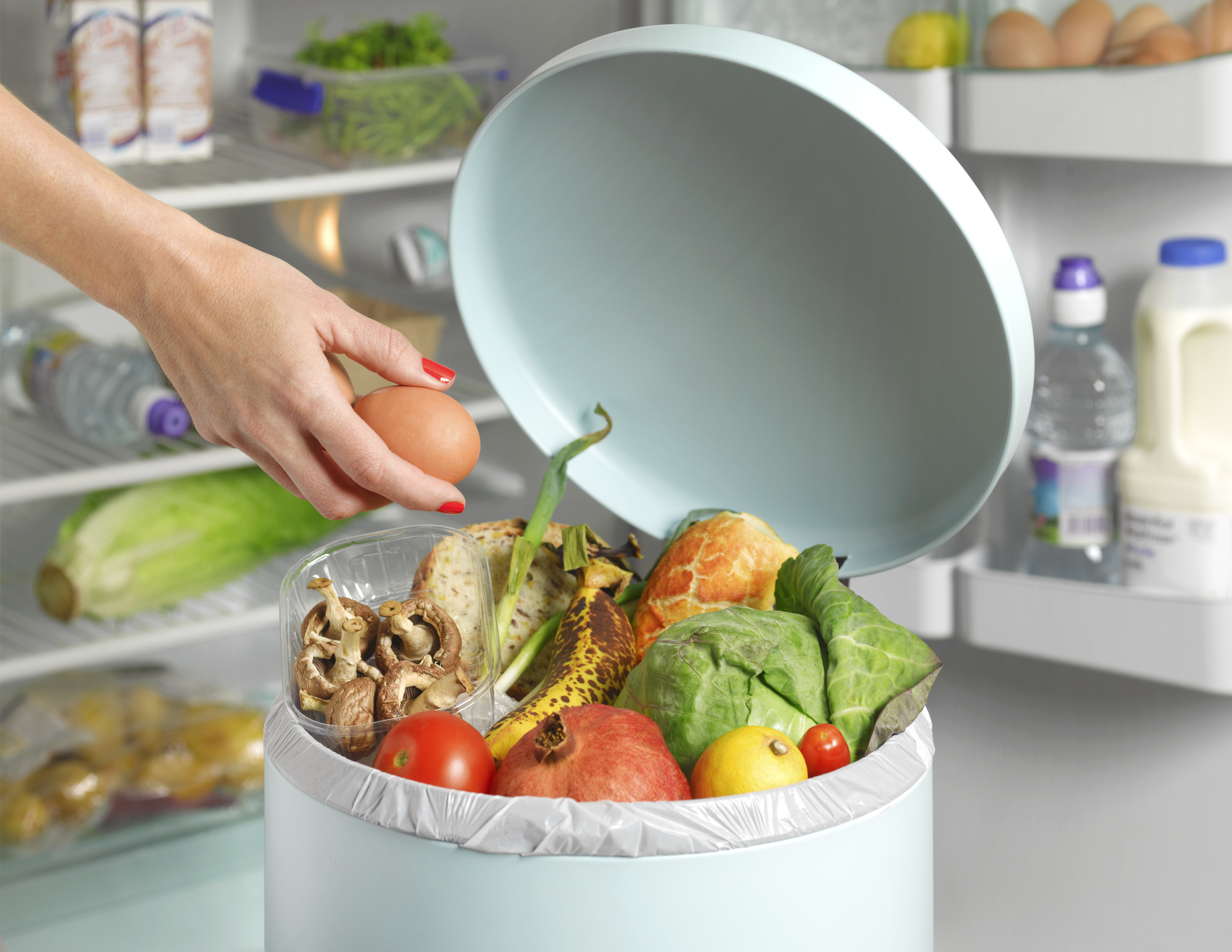 A person is placing an egg into a kitchen compost bin filled with various food scraps, including vegetables, fruits, and mushrooms. Refrigerator shelves are visible