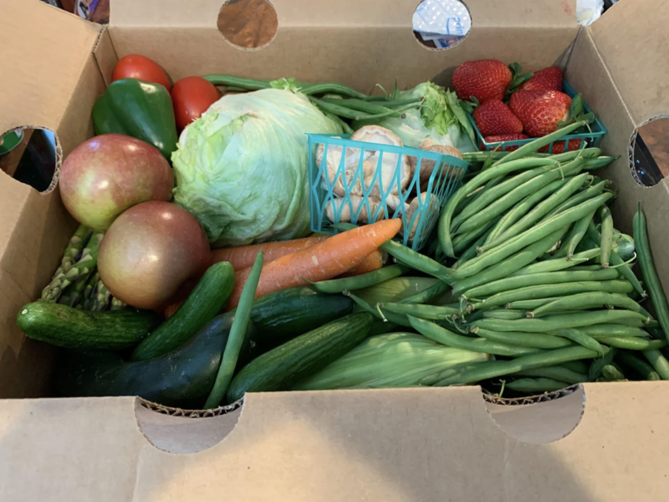 A box filled with various fresh vegetables and fruits including lettuce, tomatoes, apples, strawberries, green beans, a carrot, cucumbers, and peppers