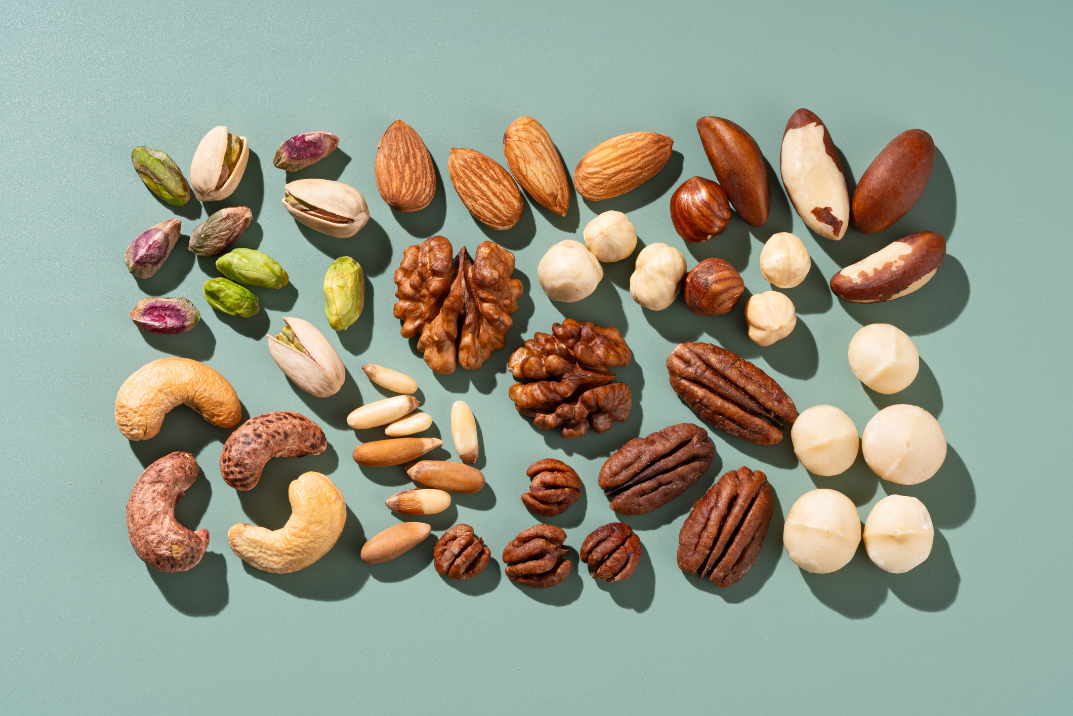 Assorted nuts including pistachios, almonds, walnuts, macadamias, pecans, hazelnuts, cashews, and Brazil nuts are organized neatly on a flat surface