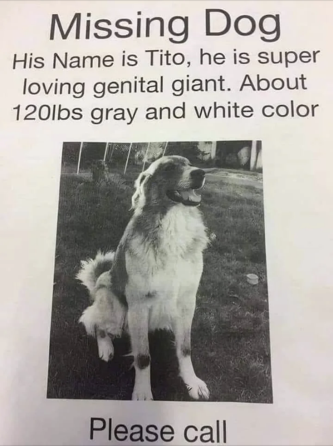 Missing Dog poster with a photo of a large dog named Tito. Poster describes Tito as a super loving, gentle giant, about 120 lbs, gray and white. Caption says "Please call."