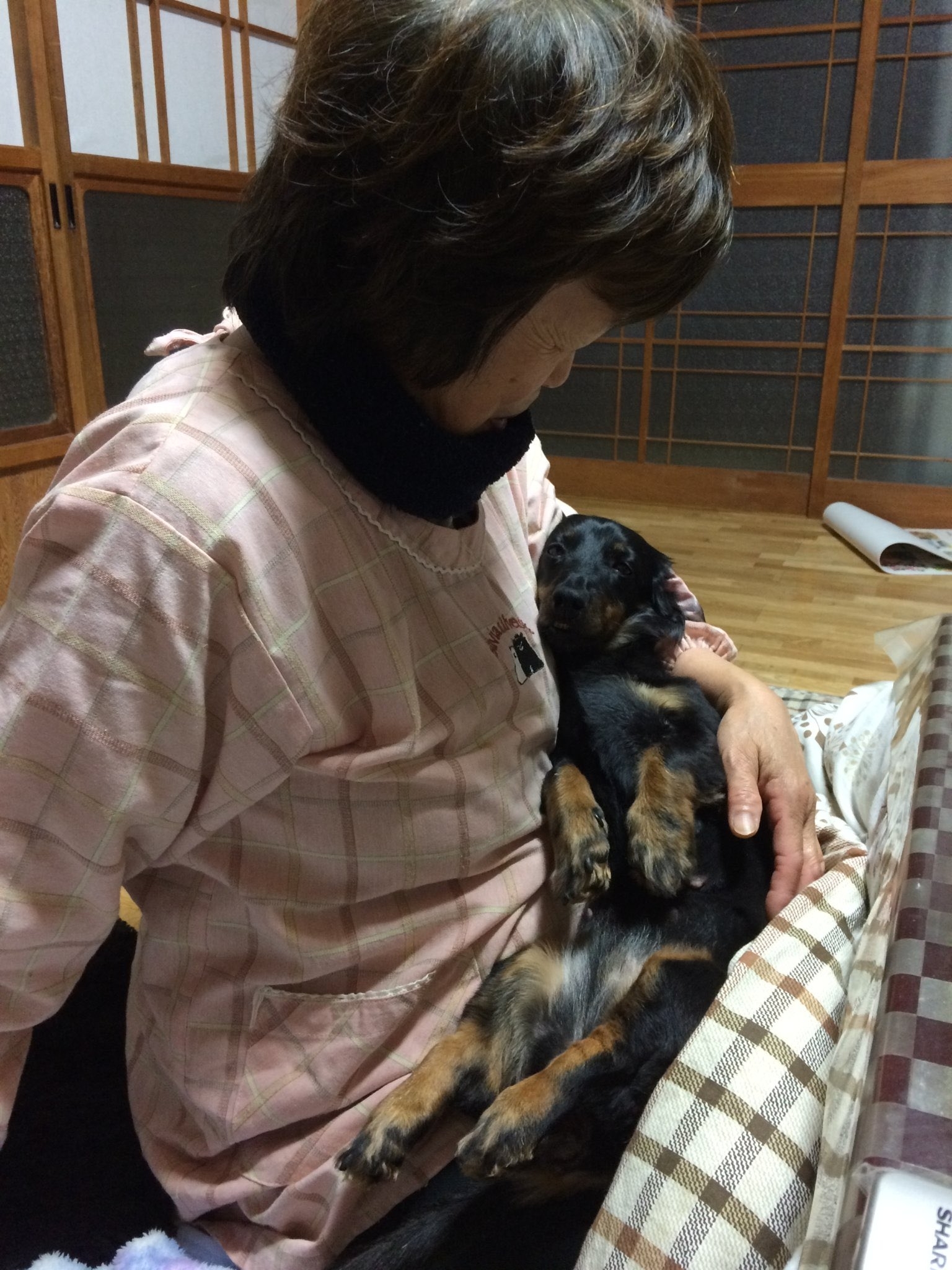 お母さんとあずきちゃん / かこいさんのXより