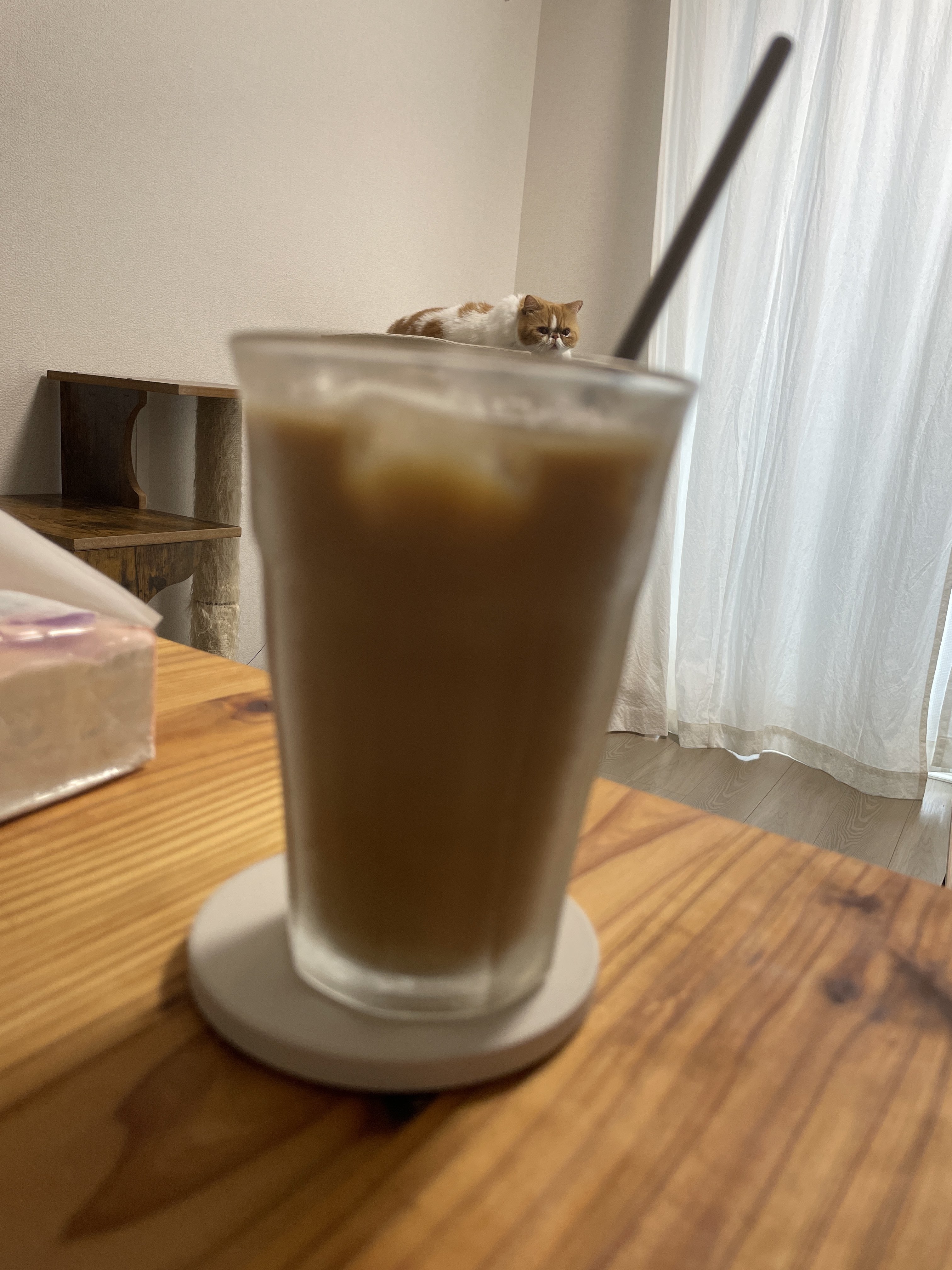 スペシャルトッピングなねむくん