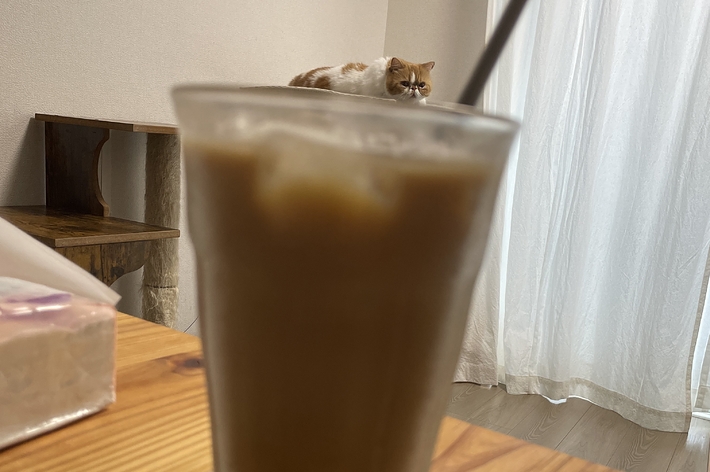 スペシャルトッピングなねむくん