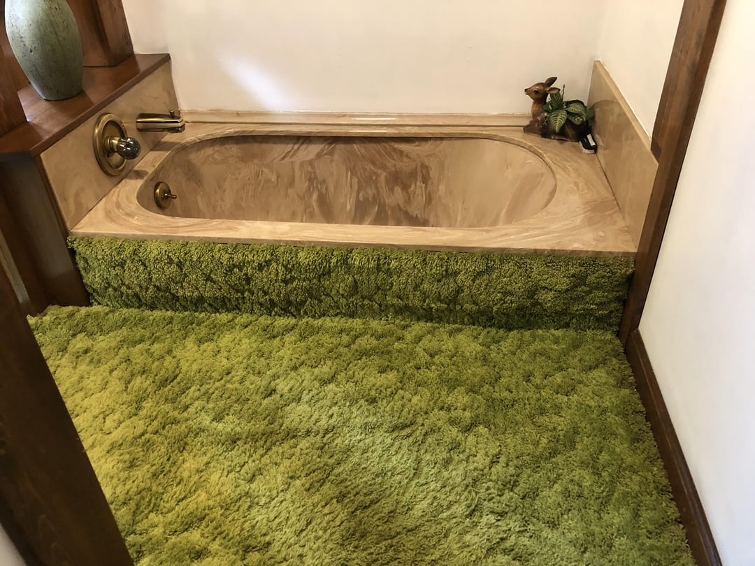 Bathroom with a marble tub and old-fashioned, shag carpet area extending from tub edge to the floor. Green plants and a decorative frog in the corner