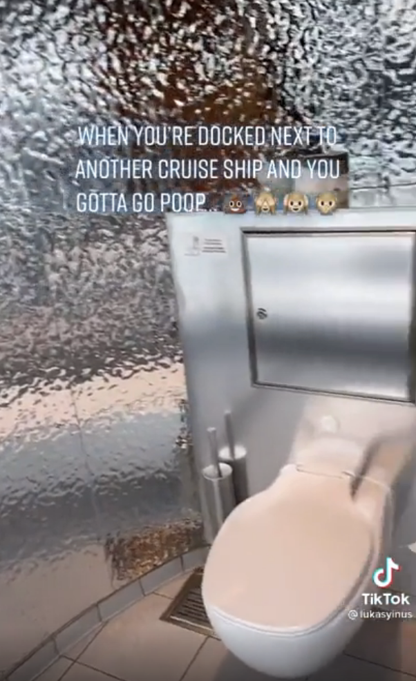 Restroom with a toilet on a cruise ship. Text reads: "When you're docked next to another cruise ship and you gotta go poop." TikTok by @lukasynius