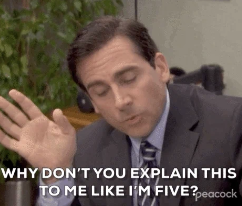 Steve Carell's character from "The Office" saying, Why don’t you explain this to me like I’m five?