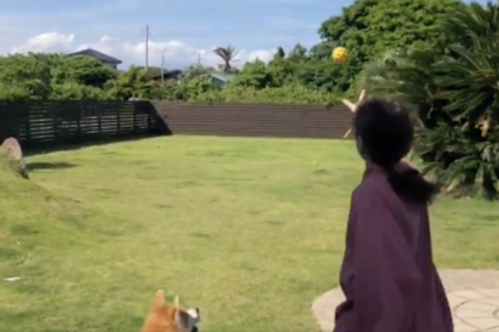 女性が庭で座っている犬を見ているシーン。