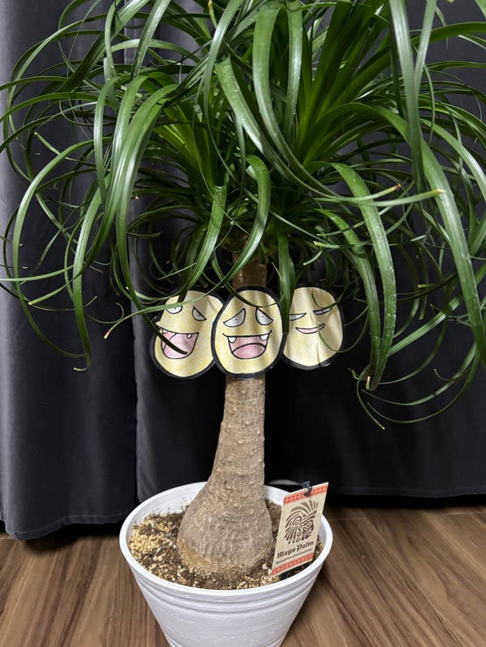 手作りナッシー シロクマ(@SHI_RO_KU__MA)さんXより