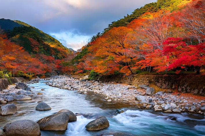 山間の川が流れる紅葉の風景。色鮮やかな秋の木々が川沿いに並ぶ。