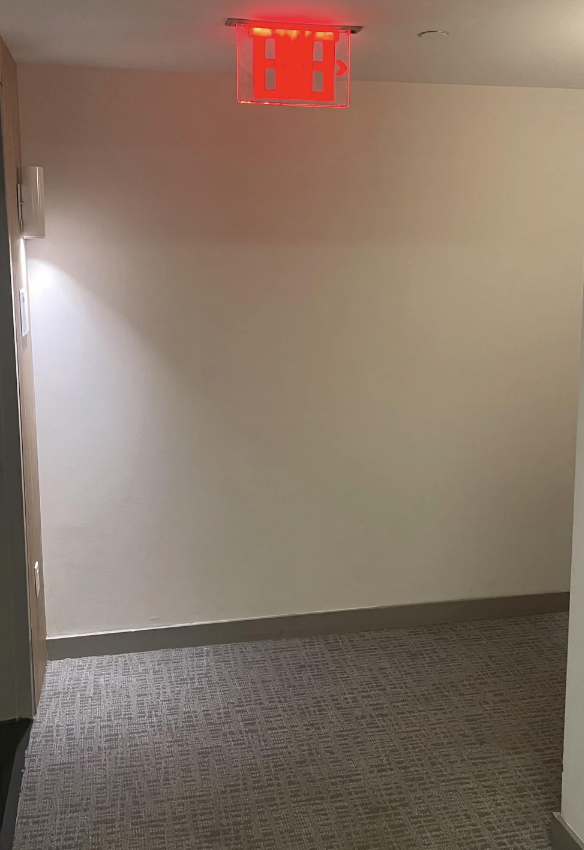 Illuminated exit sign in a hallway with carpeted floor
