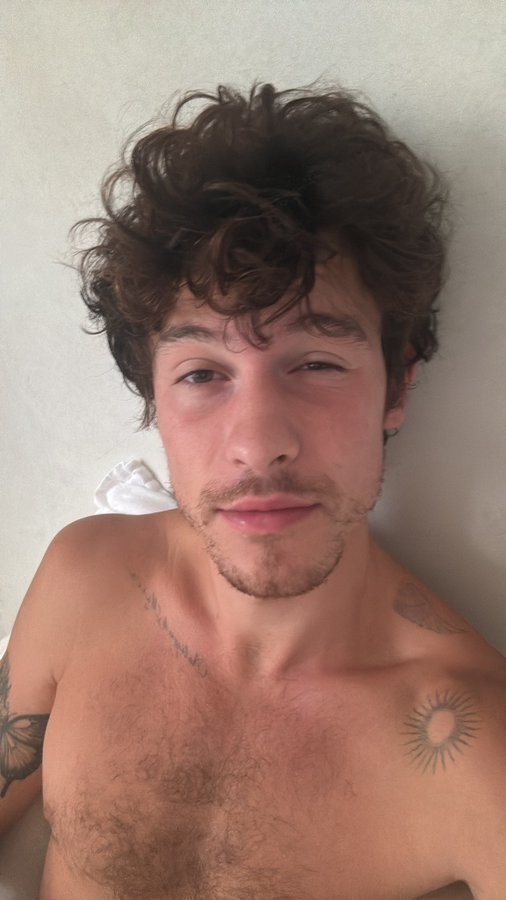Shawn Mendes is lying shirtless with tousled hair, looking at the camera with a slight smile. Tattoos are visible on his chest and arms
