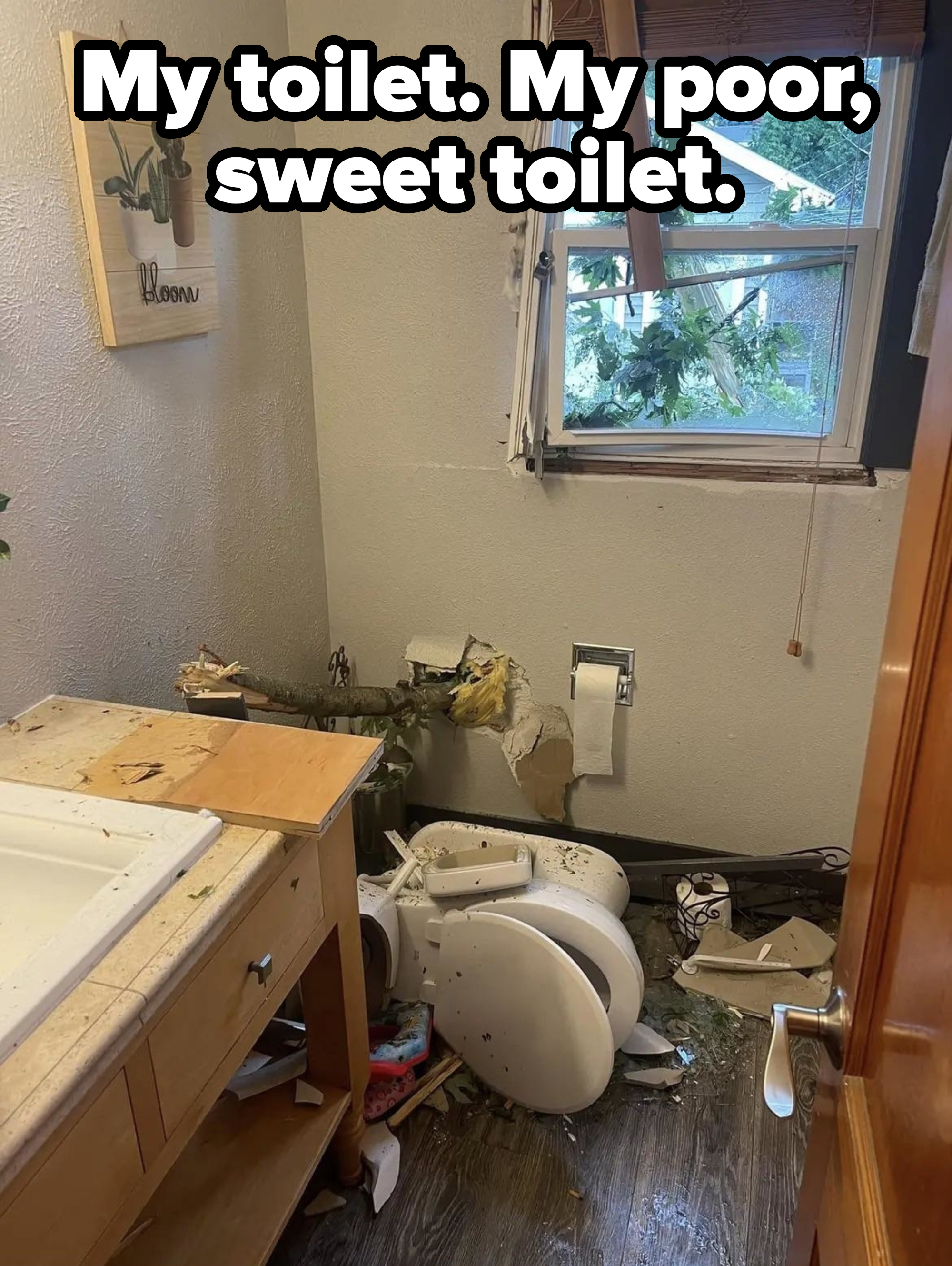 A damaged bathroom with a broken window and debris scattered around, including a broken toilet, tree branches, and various items on the floor