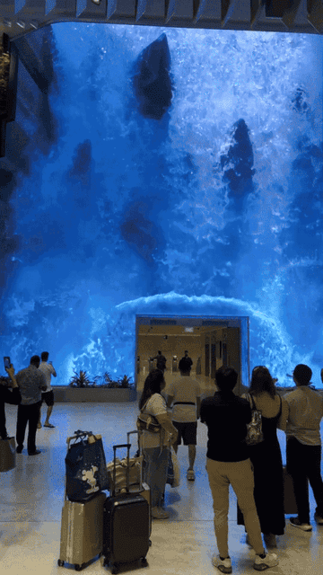People watching large digital aquarium display at a public place, with some sitting on benches and others standing or taking photos