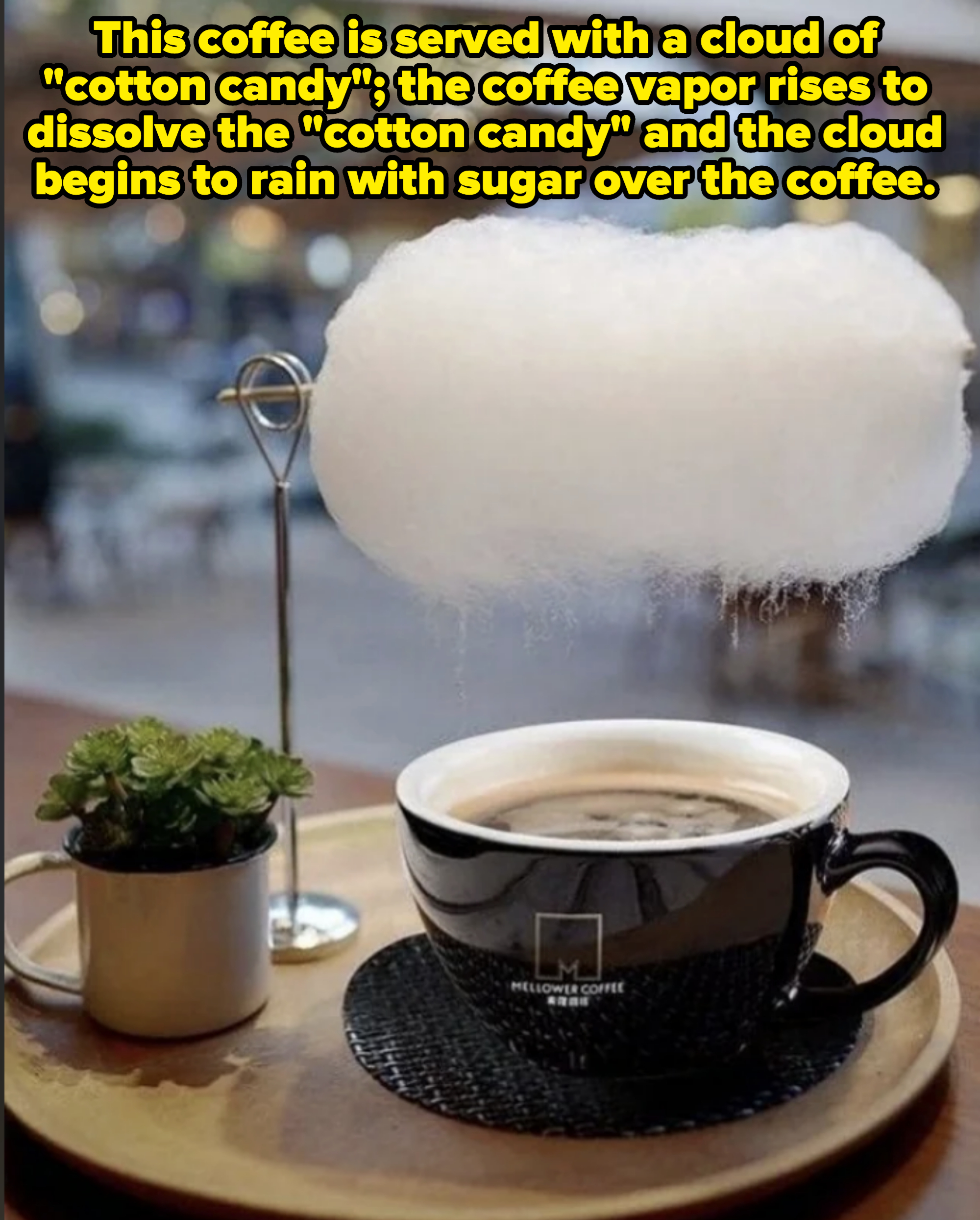 A cup of coffee with a handle, a small pot of succulents, and a cloud of cotton candy suspended above the cup by a metal stand