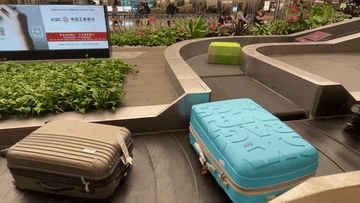 Luggage on an airport conveyor belt. Two suitcases, one gray and one blue with a pattern, move toward the baggage claim area