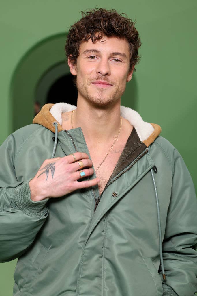 Shawn Mendes poses in a jacket with a hood. He smiles slightly and displays rings on his fingers