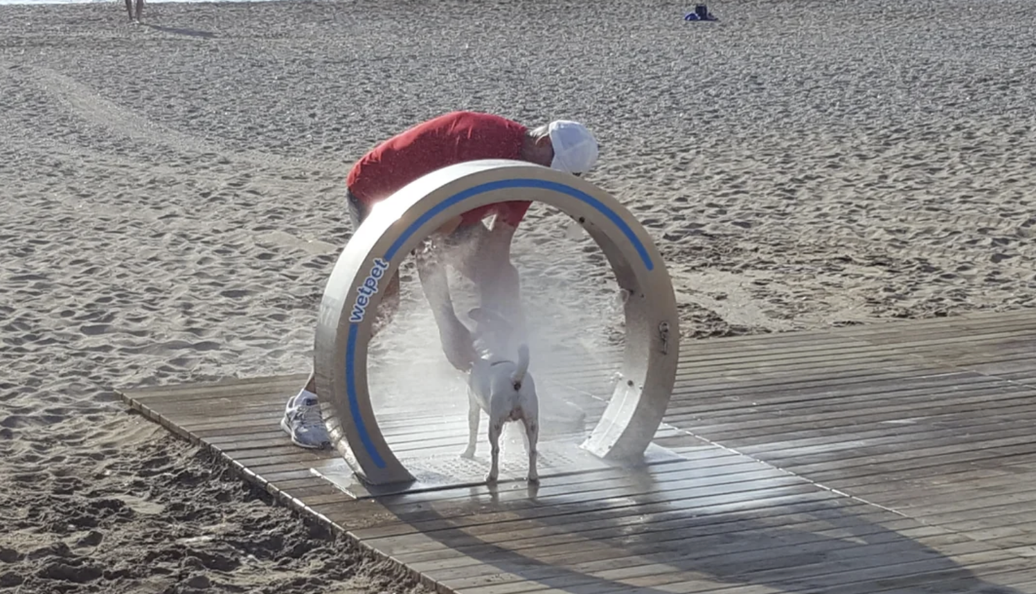 A person helps a dog walk through a circular-shaped dog shower on a sandy beach