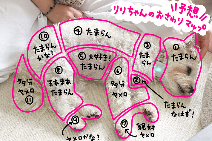 リリちゃんのおさわりマップ（予想）