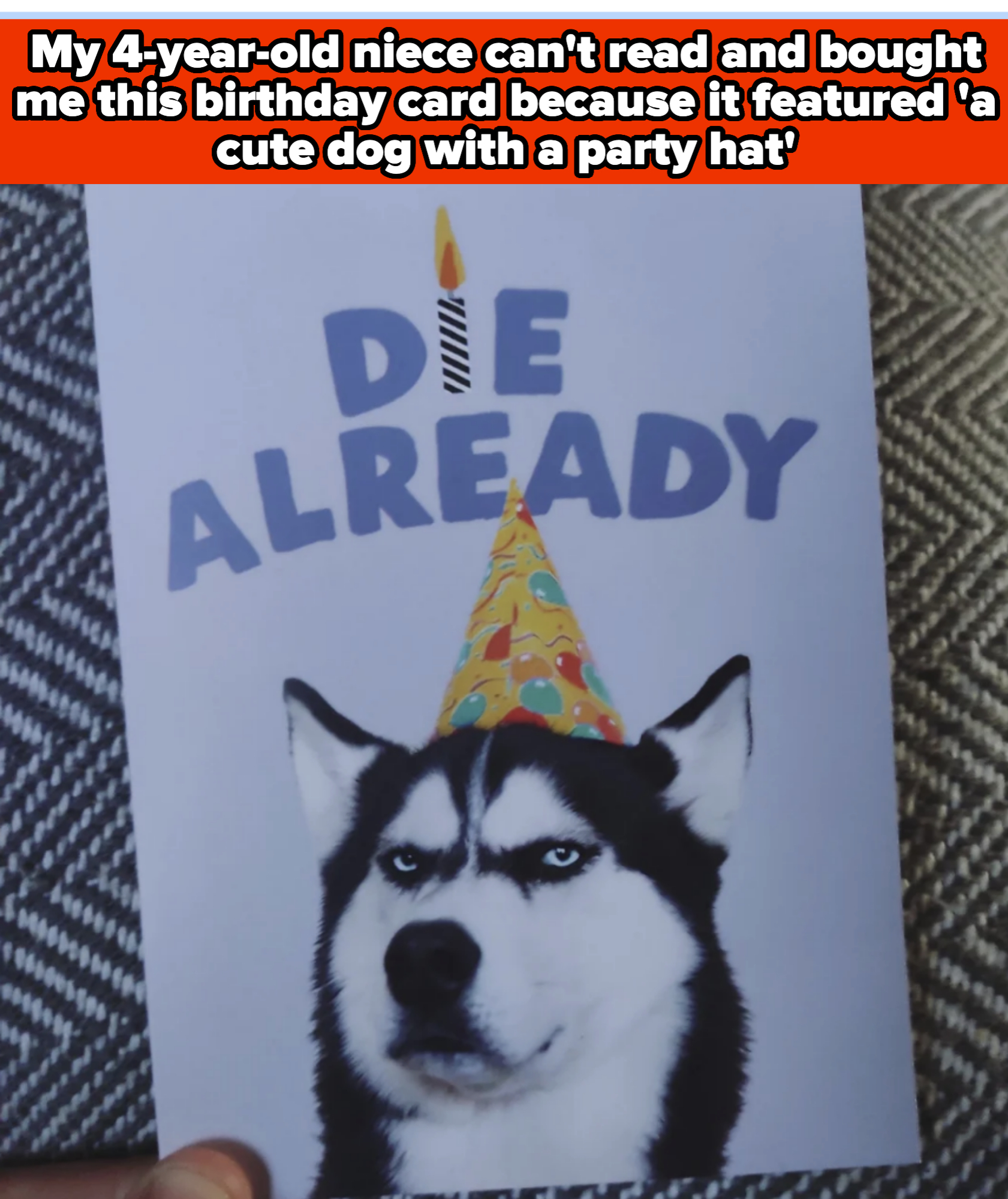 Birthday card with a serious-looking dog wearing a party hat. Text reads: "My niece can't read and bought me this birthday card… featured 'a cute dog with a party hat.' Die Already."