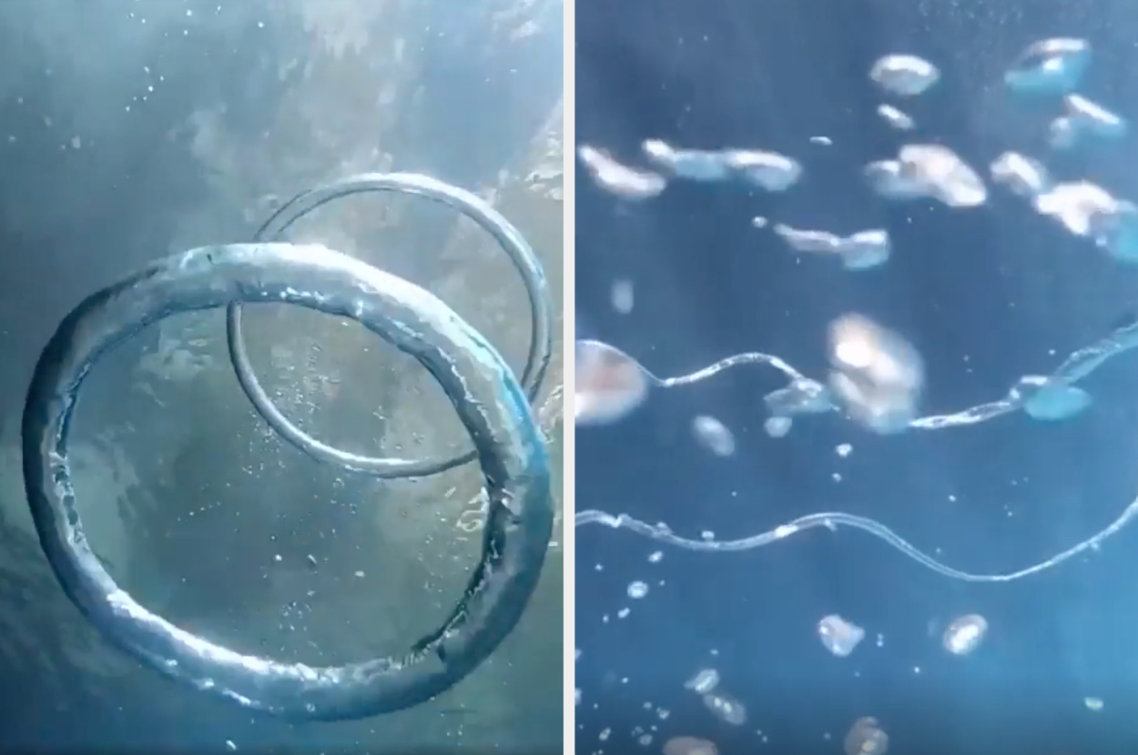 Two underwater images: the left shows two bubble rings, and the right shows swirling bubbles and water currents