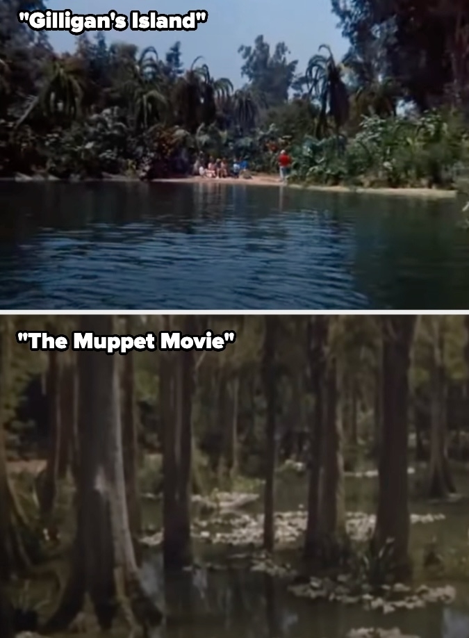 Top: A scene from "Gilligan's Island" shows a group on a tropical beach. Bottom: A scene from "The Muppet Movie" features a swamp with tall trees