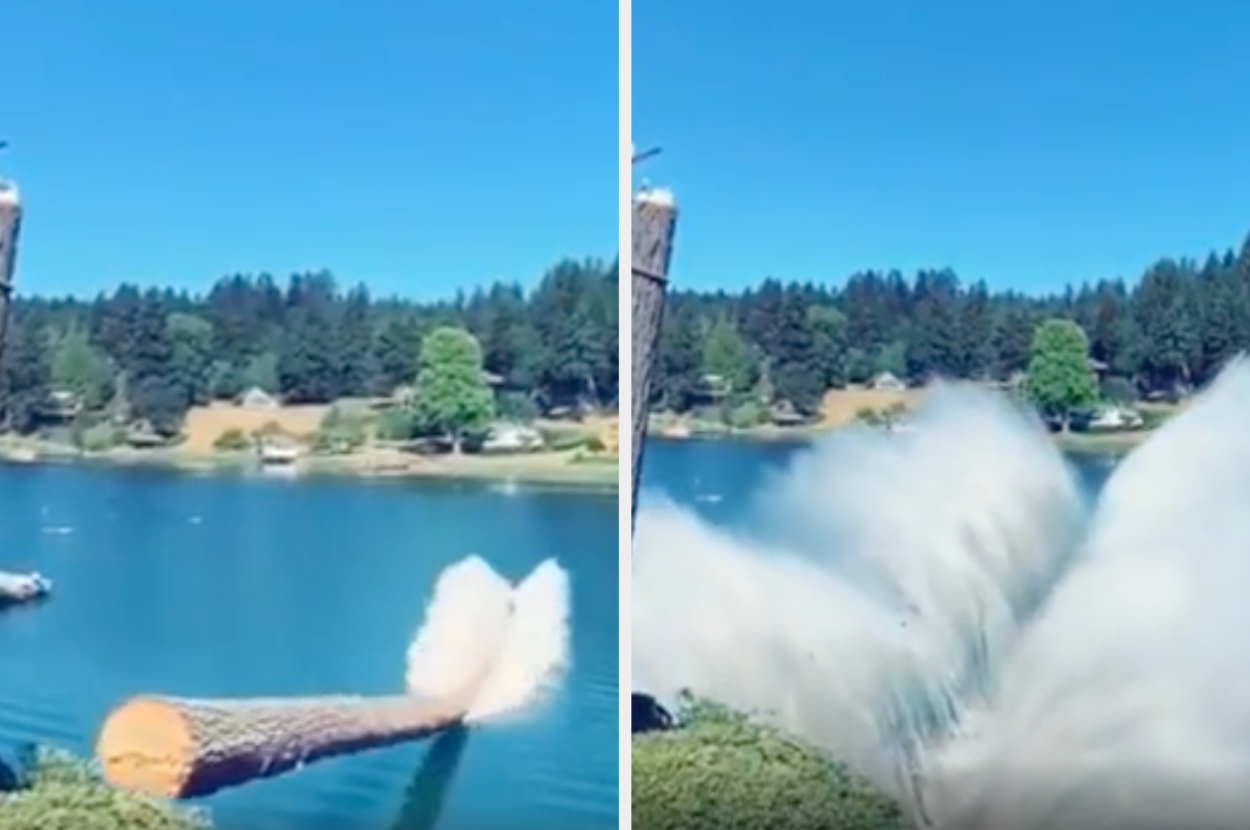 A tree falls into a lake, creating a large splash upon impact with the water. It appears to be in a scenic, forested area with blue skies