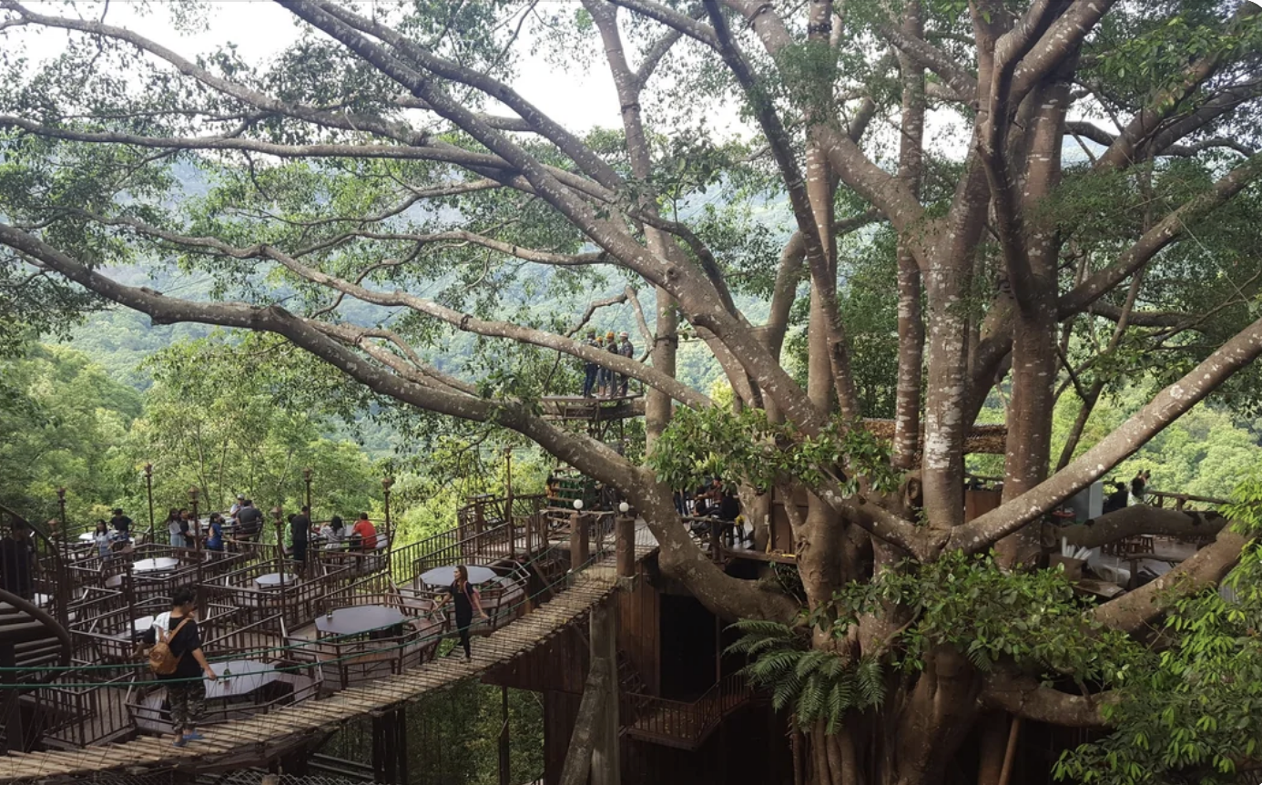 A large treehouse nestled within a lush forest, with various dining areas, walkways, and people enjoying their meals among the branches