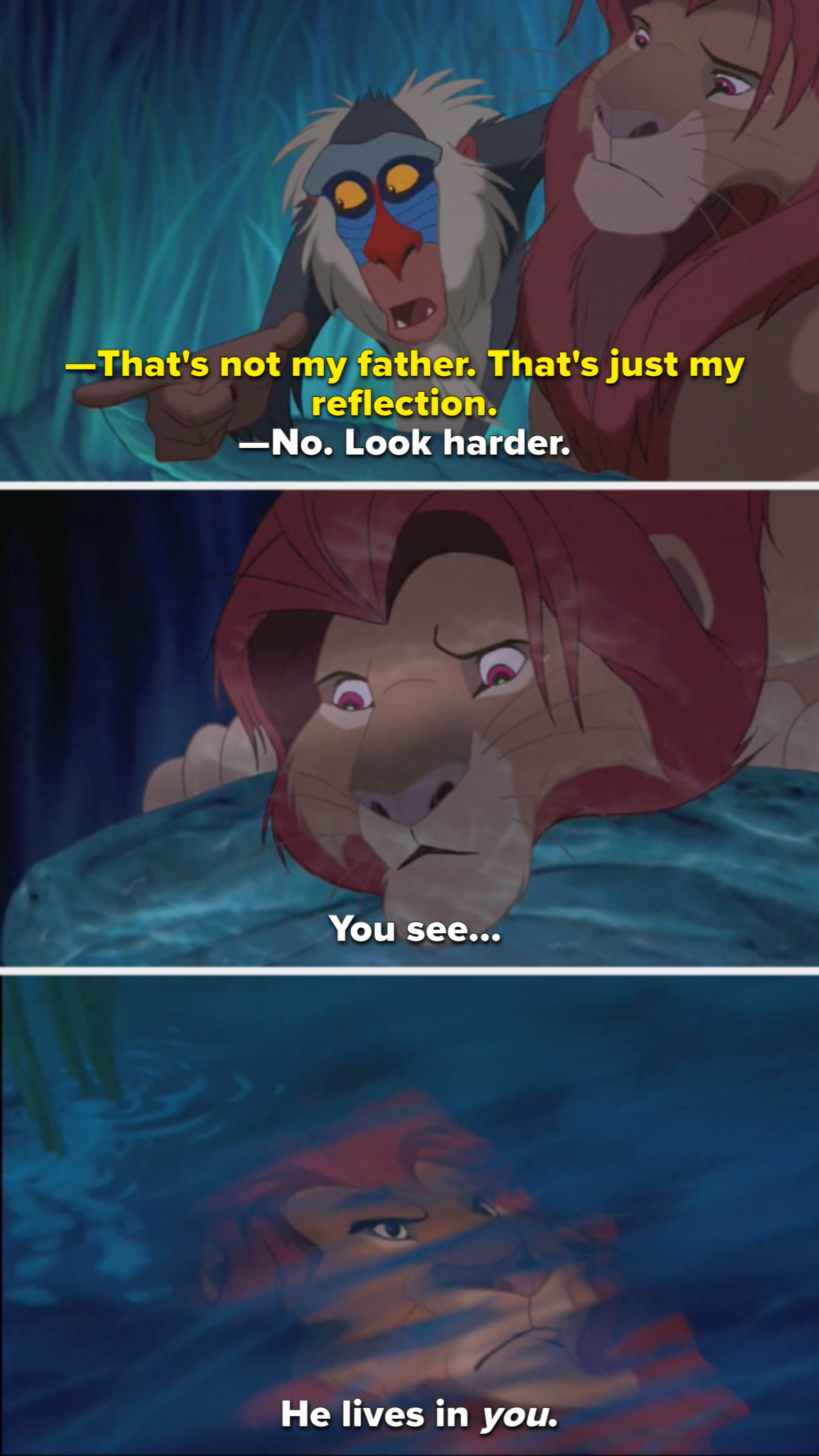 Rafiki points Simba towards water, where Simba sees his father in the reflection