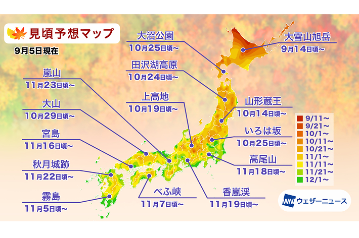 山間の川が流れる紅葉の風景。色鮮やかな秋の木々が川沿いに並ぶ。