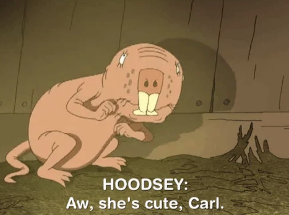 Character Hoodsey from "As Told by Ginger," a cartoon, stands next to a hole in the ground. Caption reads: "Hoodsey: Aw, she's cute, Carl."