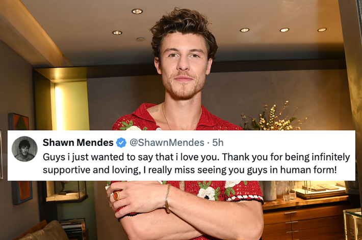 Shawn Mendes smiles with arms crossed in a home setting. His tweet reads: "Guys i just wanted to say that i love you. Thank you for being infinitely supportive and loving. I really miss seeing you guys in human form!"