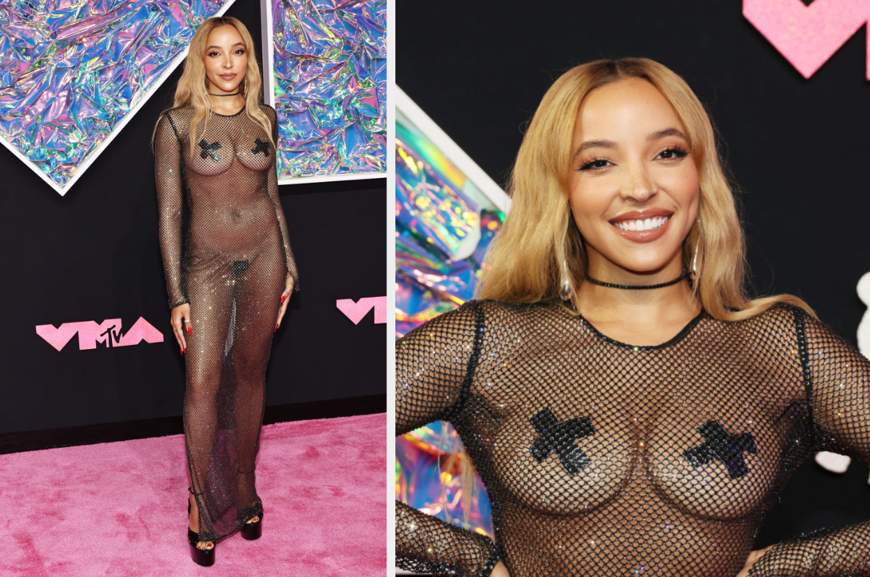 Tinashe on the red carpet at the VMAs, wearing a sheer, black mesh dress with star-shaped pasties
