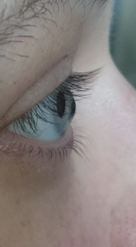 Close-up of a person's eye with detailed view of eyelashes and eyebrow