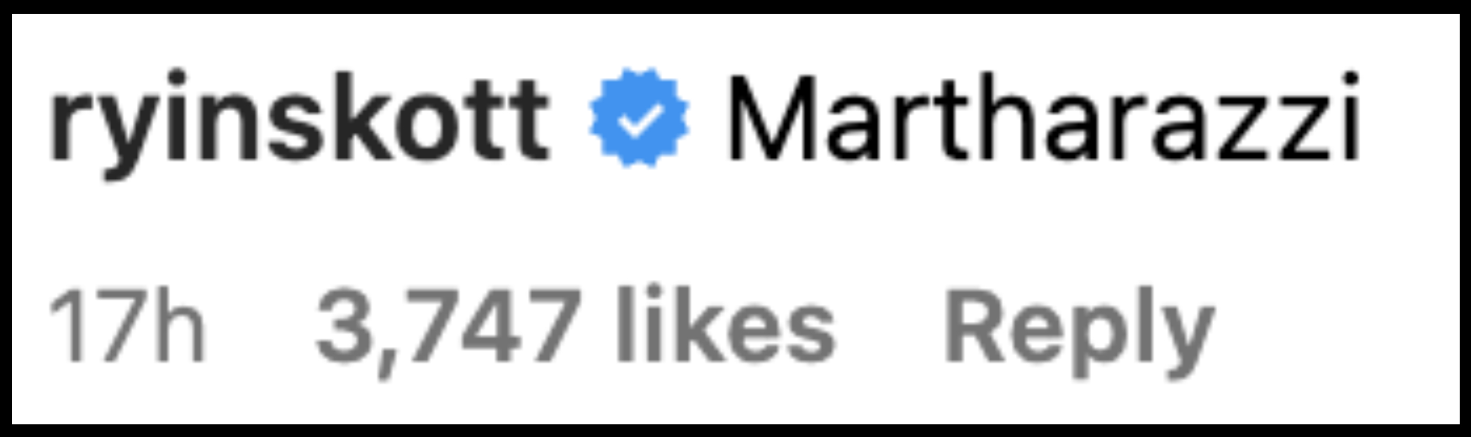 Comment by ryinskott: "Martharazzi," 17 hours ago, 3,747 likes, and a reply button