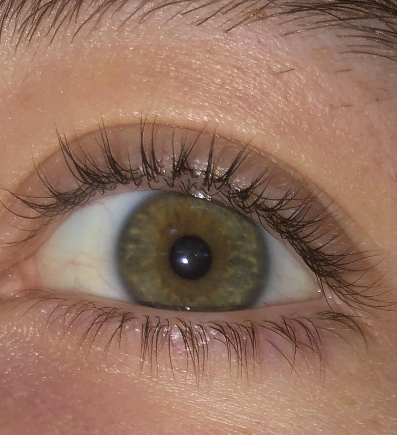 Close-up of a person's eye with visible eyelashes and eyebrow